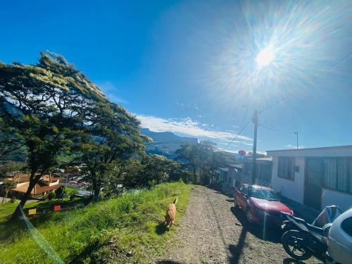 a llama walking down a dirt road next to a car at Paraiso en el Pueblo in Zetaquira