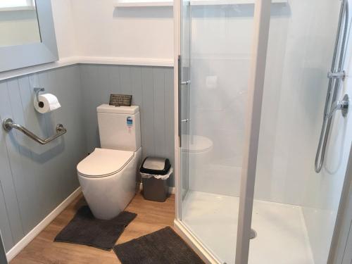a bathroom with a toilet and a glass shower at Ruapehu Rest Accommodation in Rangataua