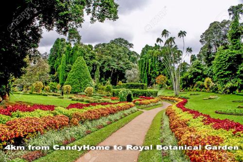 a garden with colourful flowers and a path at Candy Home in Kandy