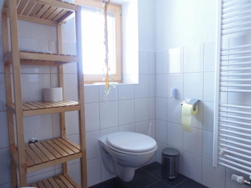 アウ・イム・ブレゲンツァーヴァルトにあるHaus Agnesのトイレと窓のある白いバスルーム