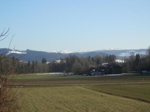 a field of grass with a house in the background at Neumühleweg 19 in Lauperswil