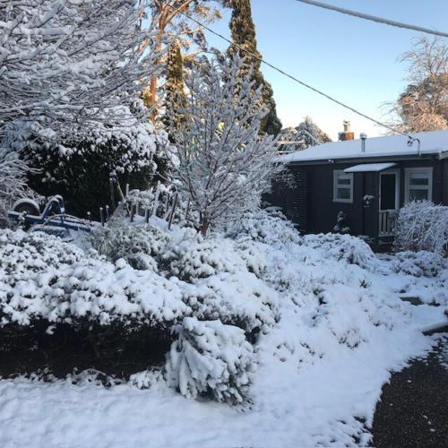 a yard covered in snow in front of a house at Maisie's Cottage in Mount Victoria