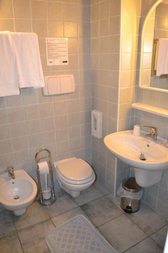 a bathroom with a toilet and a sink at Hotel Raibl e Appartamenti in Tarvisio