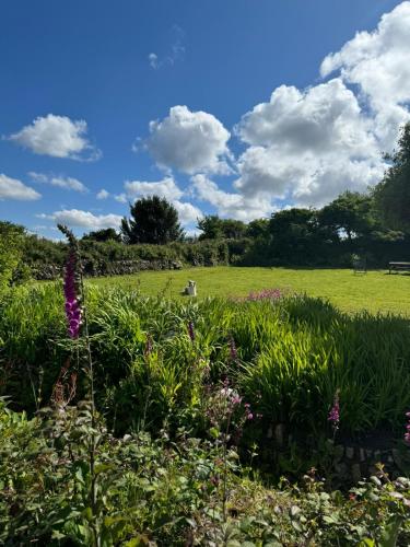 a field of flowers with a person in the distance at Kitts Cottage, Redruth, Cosy Cornish Retreat in Redruth