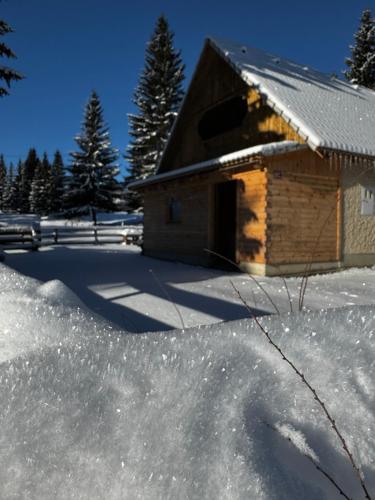 a building with a pile of snow in front of it at Triglav Cottage in Bohinj