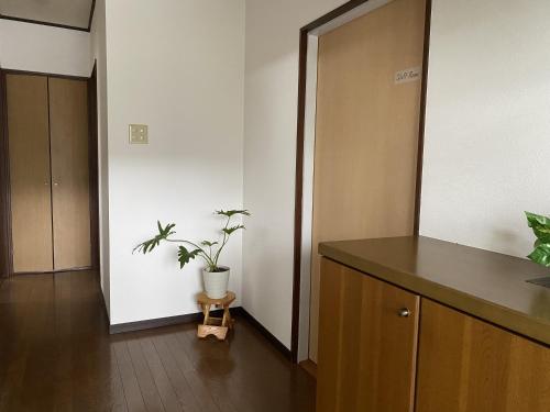 a hallway with a cabinet and a potted plant at 大和base in Kaga