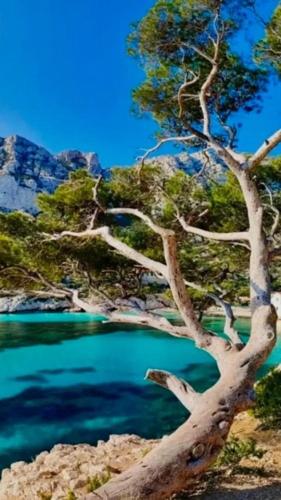 Appart 2 chambres Proche Port de Porto Vecchio