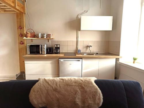 une petite cuisine avec un évier et un micro-ondes dans l'établissement Appartement à la montagne, à Saint-Bonnet-en-Champsaur