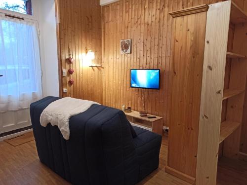 - une chambre avec un lit et une télévision sur un mur en bois dans l'établissement Appartement à la montagne, à Saint-Bonnet-en-Champsaur