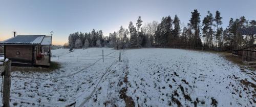 Το Holzhütte allein am Waldrand τον χειμώνα