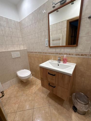 Fotografie z fotogalerie ubytování Pension Robin v destinaci Jáchymov