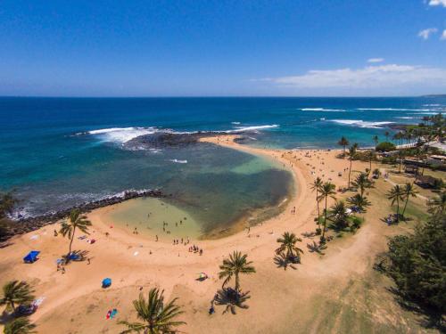 an aerial view of a beach with palm trees and the ocean at Hale Imaka in Kipu