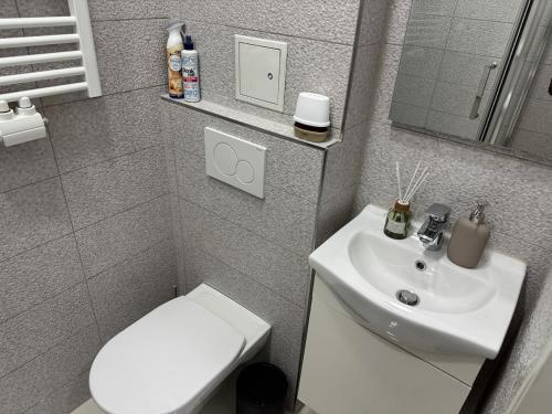 Apartment in heart of Vienna 4