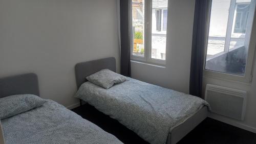 une chambre avec deux lits et une fenêtre dans l'établissement Appartement entier 2 chambres 5 Cateau, à Roubaix