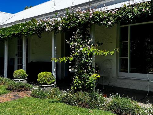 Gallery image of Petschel House in Hamilton