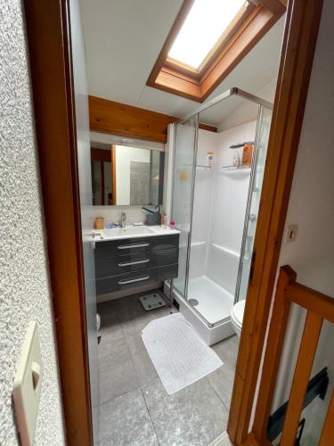 une salle de bain avec douche et lavabo dans l'établissement Villa du Lac,, à Biscarrosse