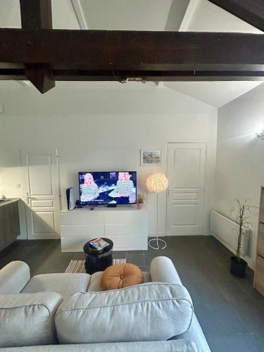 una persona acostada en un sofá en una sala de estar en Appartement Business Lyon nord Gare & A6, en Saint-Germain-au-Mont-dʼOr