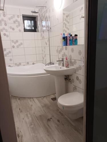 a bathroom with a sink and a toilet and a bath tub at Apartament ANNA in Carei