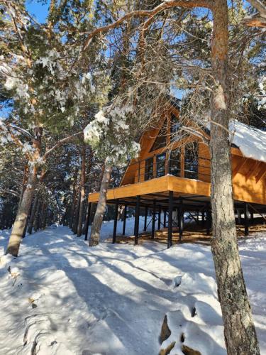 Una cabaña de troncos en el bosque en la nieve en Aparan Park, en Zovuni