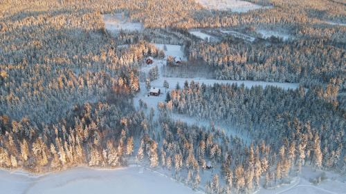 an aerial view of a forest with snow and trees at Arctic Hearts - Kleines Schwedenhaus im Wald am See in Jörn