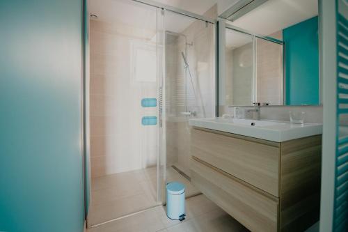 a bathroom with a sink and a shower at La Ronce in Châteauneuf-sur-Loire