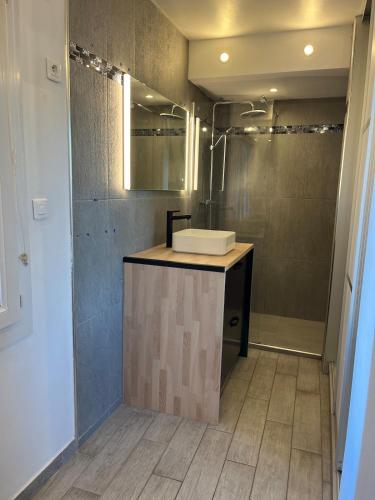 une salle de bain avec un lavabo et une douche dans l'établissement Le Nid ideal, au Muy