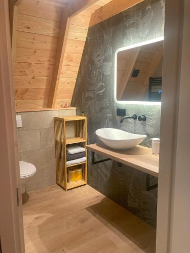 a bathroom with a sink and a mirror at A-huis in het bos van Drenthe in Norg