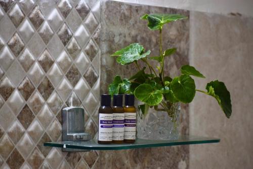 a shelf with a plant and three bottles ofgars at Sudhaksha Celebrations in Prayagraj