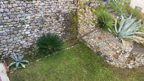 a stone wall with some plants in front of it at Casa Salima a Deiva Marina tra 5 Terre e Portofino in Deiva Marina