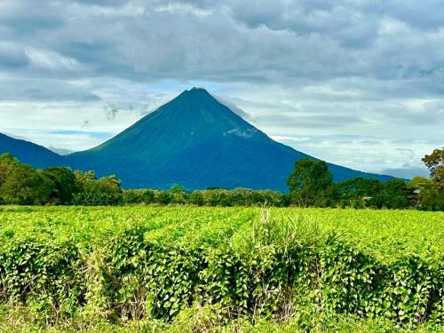 Galeriebild der Unterkunft Yin Garden Lodge Fortuna in Fortuna