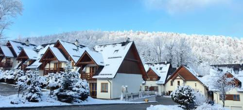 Luksuswy Domek Fantazja z sauną i kominkiem przy stoku narciarskim