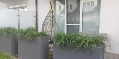 un groupe de plantes en pot devant un bâtiment dans l'établissement Appartment Alicja, à Darłowo