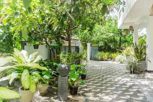 Jardín al aire libre en Plant Mama Guest House
