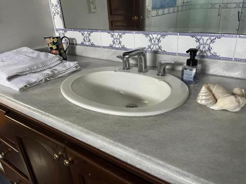 a bathroom counter with a sink and a mirror at La Casa de los Libros in Pereira