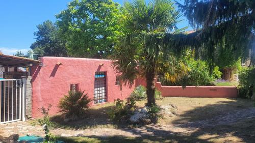 a house with a palm tree in front of it at la Belle Epoque in Sevremont