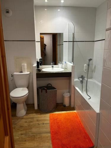 une salle de bain avec toilettes, lavabo et douche dans l'établissement Maison MAEL, à Notre-Dame-de-Bellecombe
