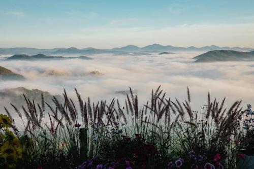 a field of fog with mountains in the background at Cloud9 & Cloud View Glamping in Da Lat