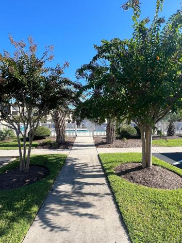 a sidewalk with two trees in a park at Cherry Grove 1BR screened porch 2nd Floor view in Myrtle Beach