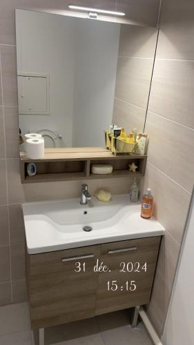 une salle de bain avec un lavabo et un miroir dans l'établissement modern and secure residence, à Romainville