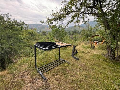 a grill sitting in the grass in a field at Turgen Family Park in Taūtürgen