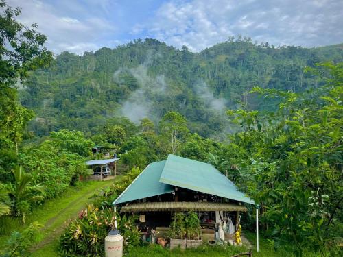 a building with a green roof in front of a mountain at Preciosa Cabaña de Montaña in Turrialba
