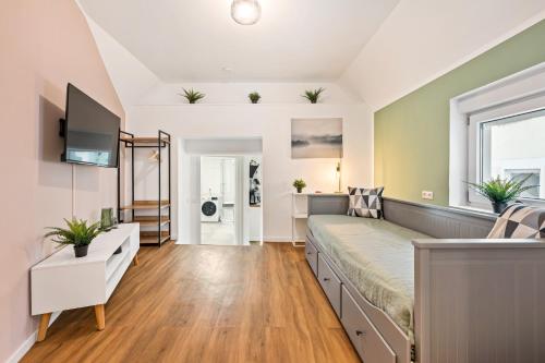 1 dormitorio con 1 cama grande y TV. en Sali Homes Ziegeleihaus, en Heilbronn