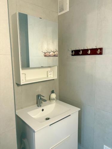 une salle de bain avec un lavabo blanc et un miroir dans l'établissement Escapade Familiale - parking privé - 25 min de Bâle, à Mulhouse