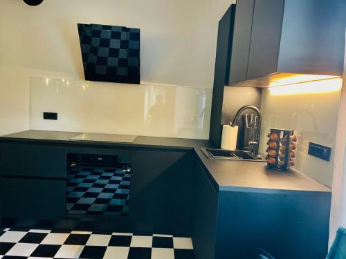 Kuchyň nebo kuchyňský kout v ubytování Seča apartment