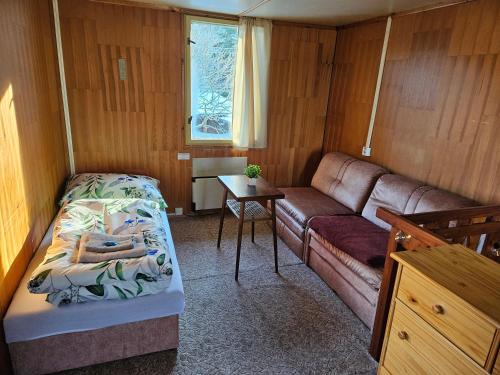 a small room with a couch and a bed at Chata Zelenka na Bobrovníku in Lipova Lazne
