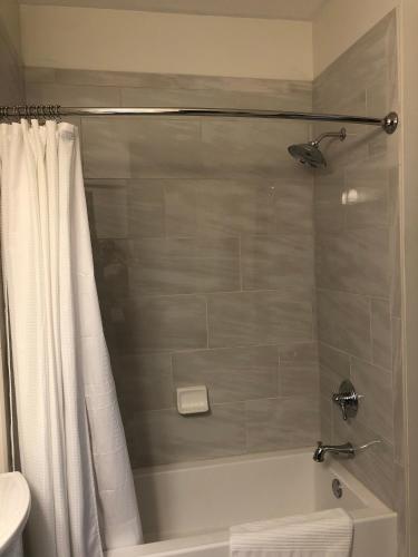 a bathroom with a bath tub with a shower curtain at The Vine Bed & Breakfast, LLC in Dundee