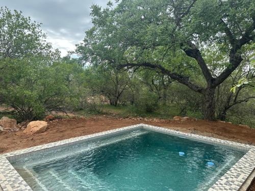 a swimming pool in the middle of a field at Oase by 7 Star Lodges - Greater Kruger Private 530ha Reserve in Hoedspruit