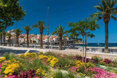 un parc avec des fleurs et des palmiers près de la plage dans l'établissement Appartement 2 pièces BANYULS SUR MER BN030-E01, à Banyuls-sur-Mer