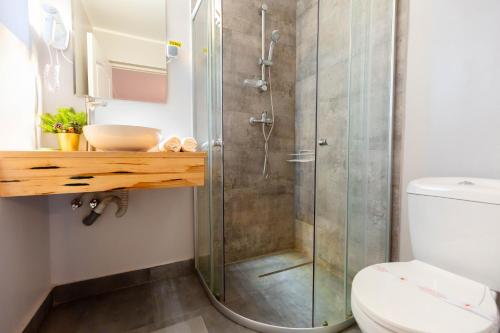 a bathroom with a shower with a toilet and a sink at Complex turistic Veverita in Ranca