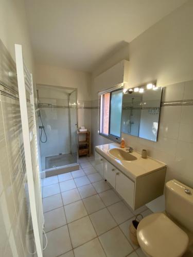 Ένα μπάνιο στο Villa 180 m2 vue Mer Piscine Climatisée Grand jardin 5000 m2 cloturé Calme